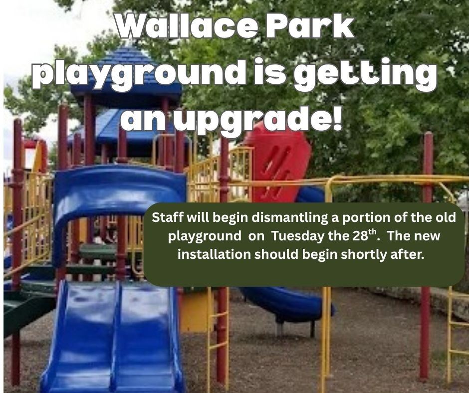 Wallace Park Playground